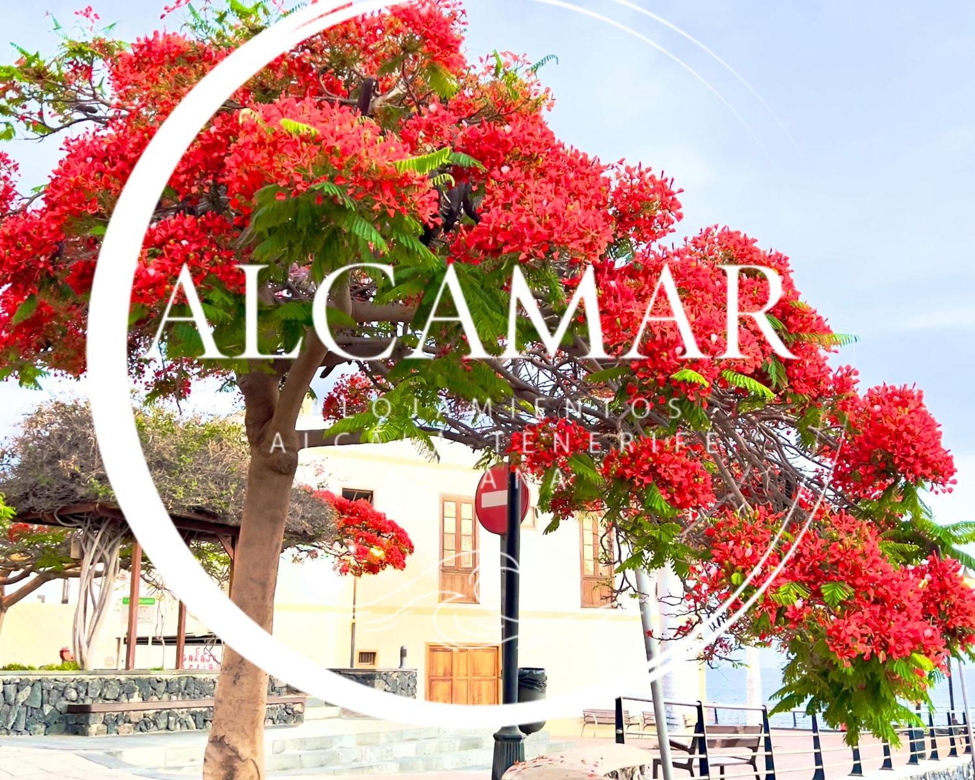 Alcamar Habitacion Privada Con Las Areas De Sala, Cocina Y Bano Que Se Comparten Cerca Al Mar! อัลกาลา ภายนอก รูปภาพ
